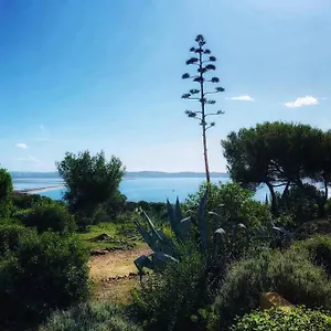 + Terrasse Vue Dans Un Parc De 3 Ha Hyères